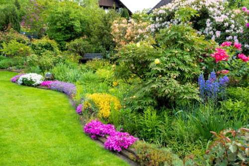 Landschaftsgärtner und Gartenbau in der Nähe Tipps